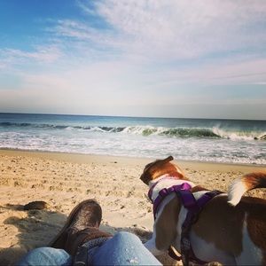 Meet your Posher, Brittany